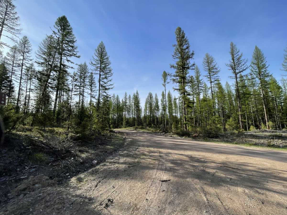 Salish Trapper trail photo