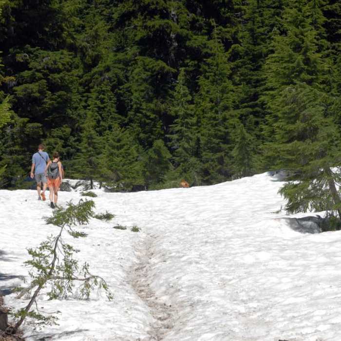 Near Moraine Lake in the Three Sisters Wilderness