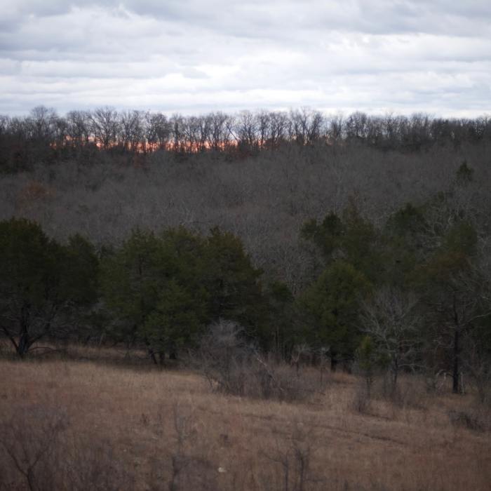 Toward the end of the Glade Trail, it opens up and provides a limited view, which is nice at sunset where the evening light shines through the trees. Near Glade Trail