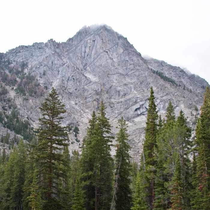 Near Fall Creek - Moose Lake