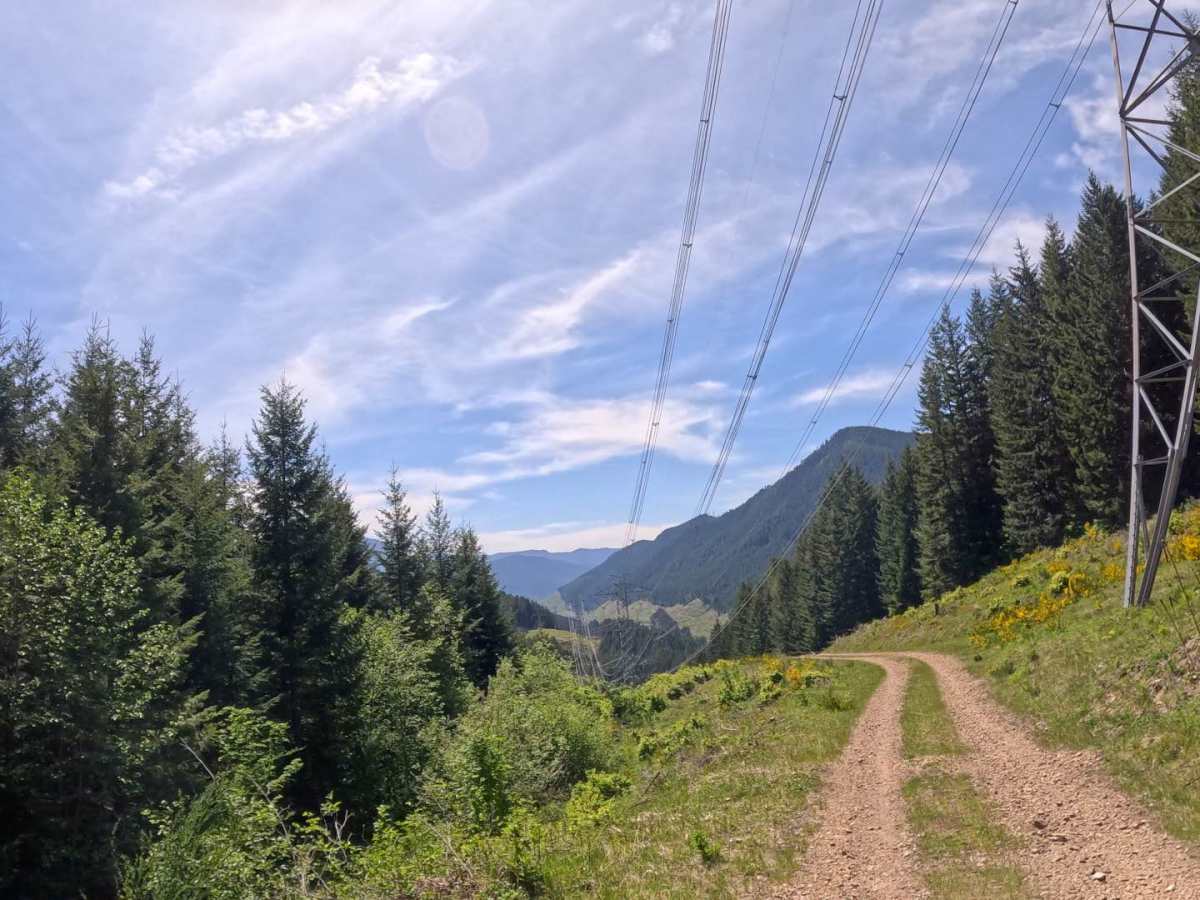 Booger's loop photo 6