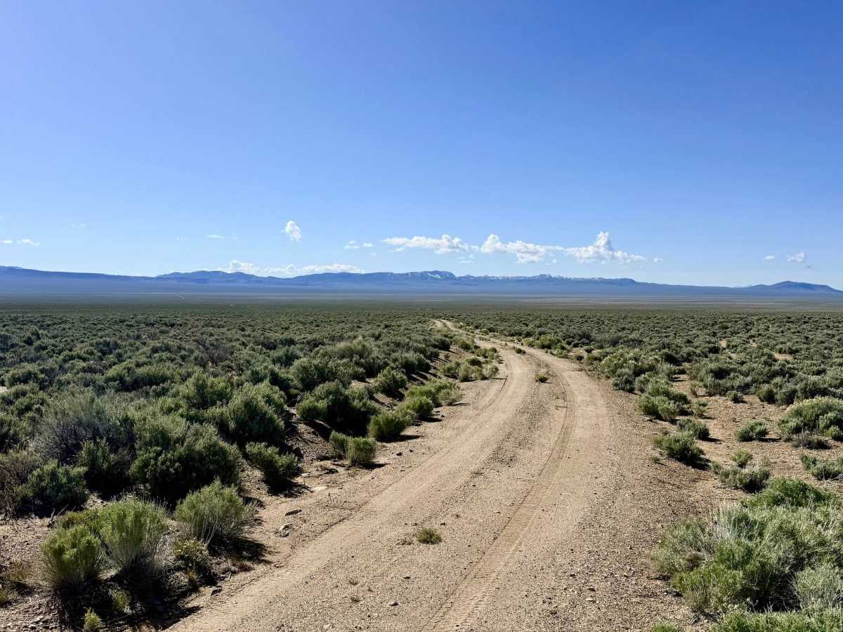 Baxter Spring - FS 44523 photo 6