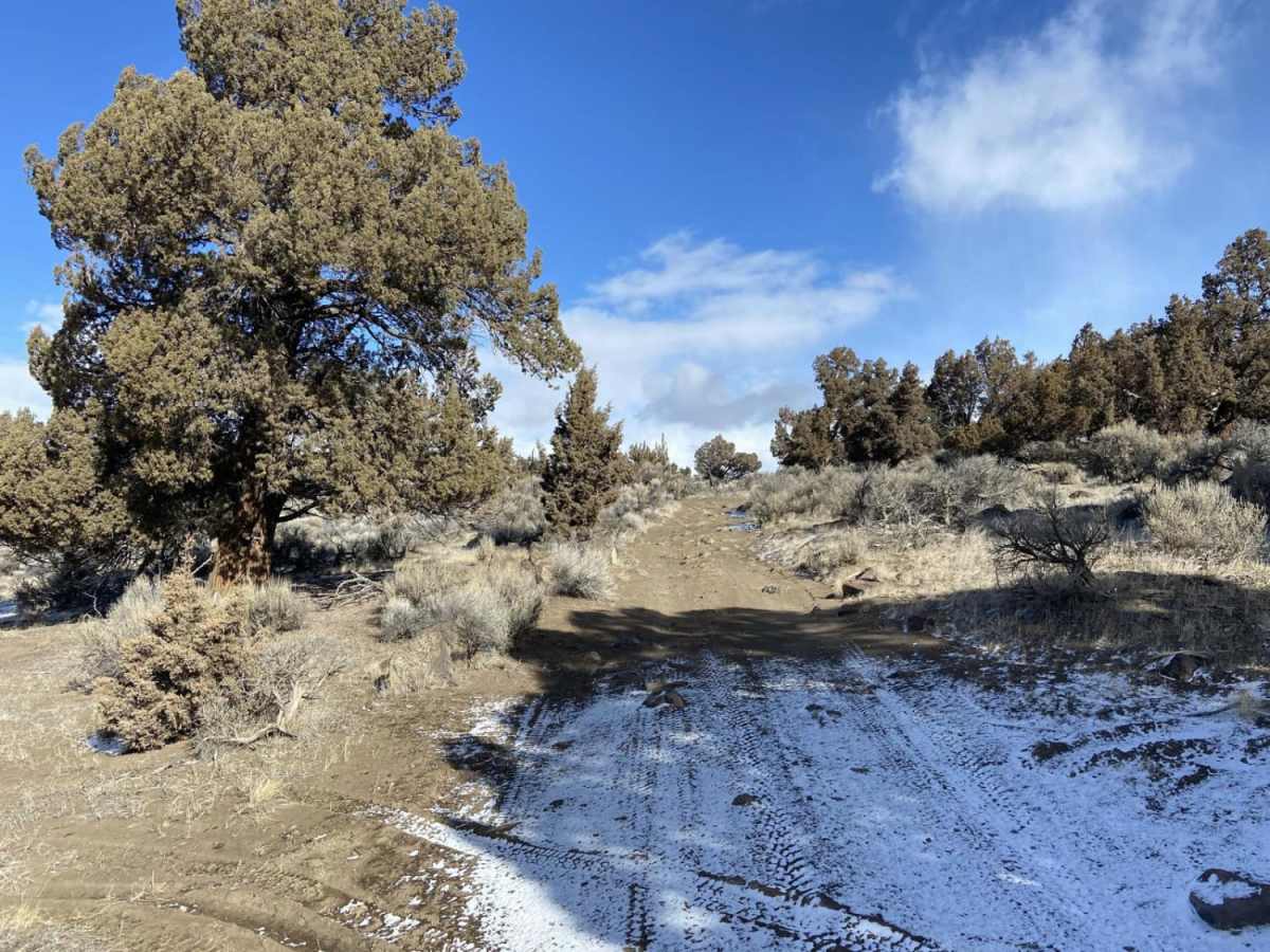 Reed Rock trail photo