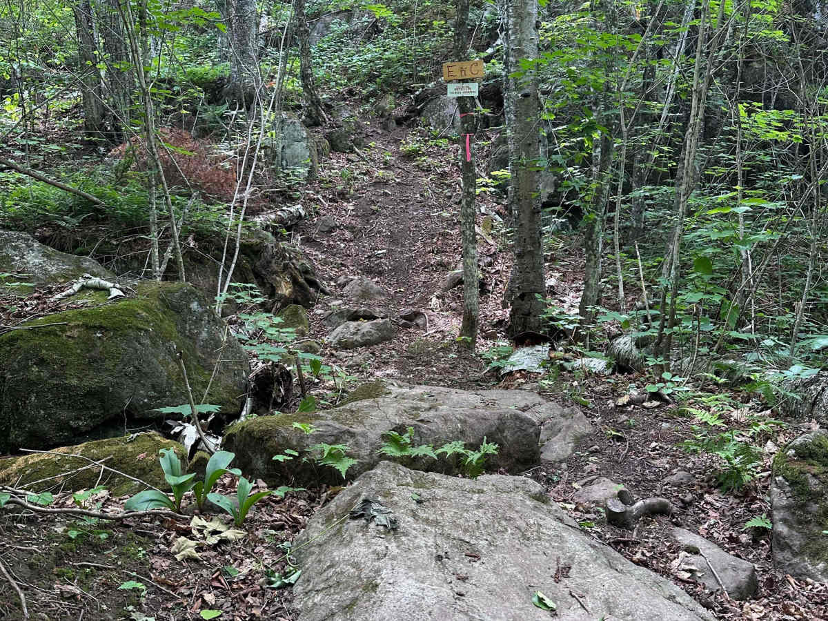 Elephant & Castle trail photo