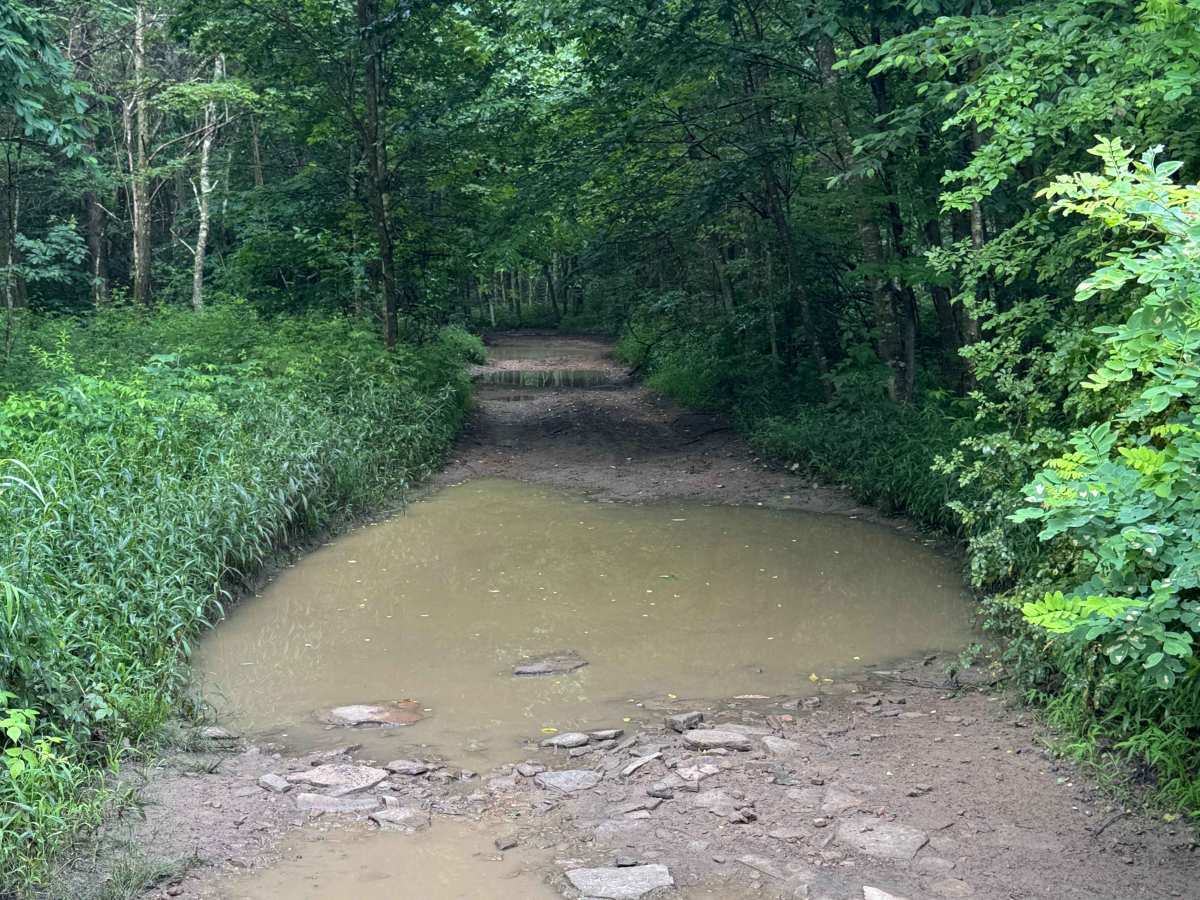 Trail 48 photo 2