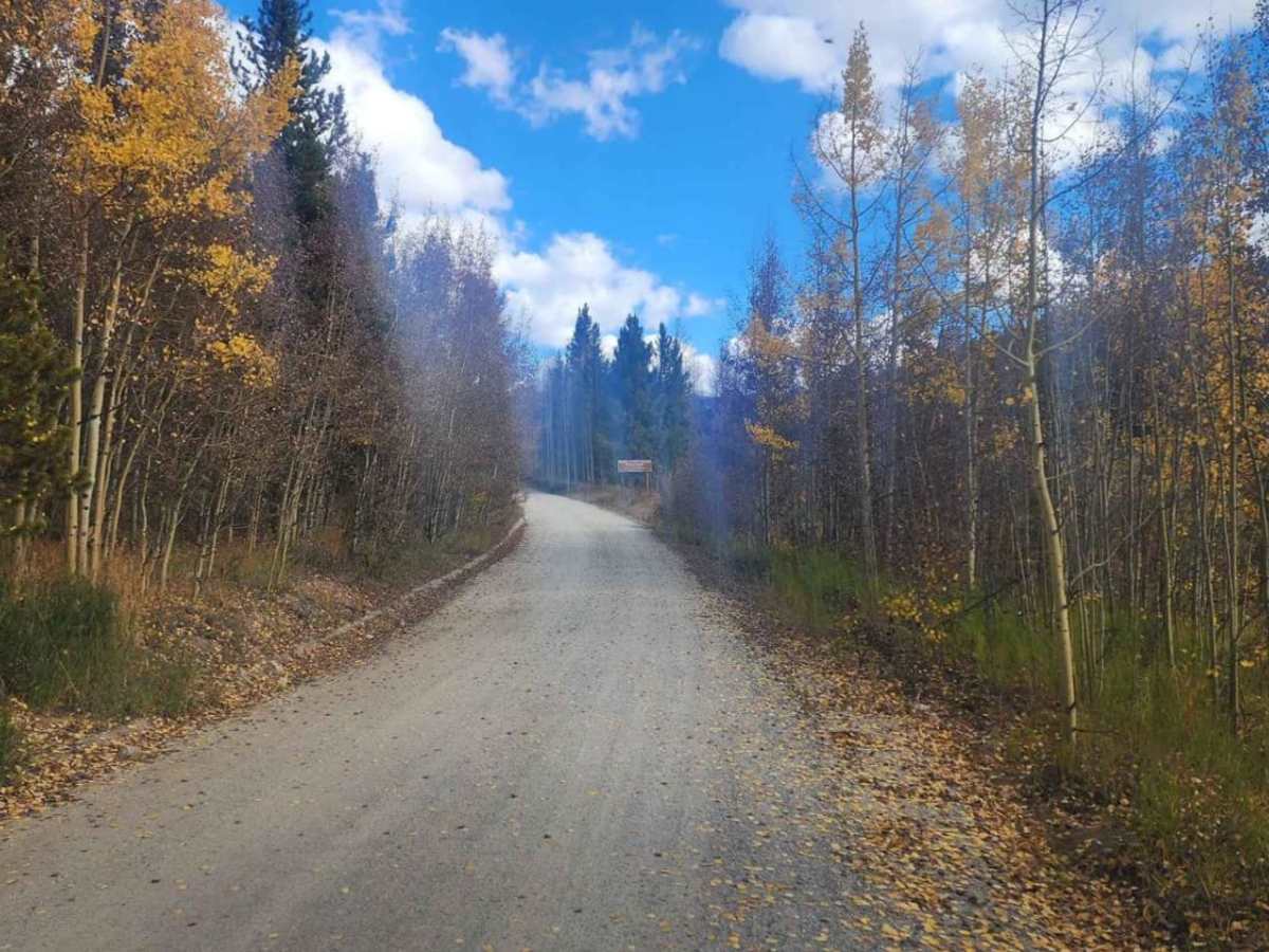 West Beaver Creek Road photo 5