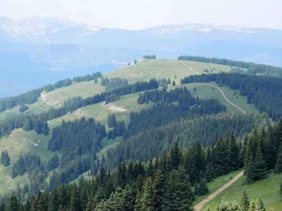Ptarmigan Pass photo 4
