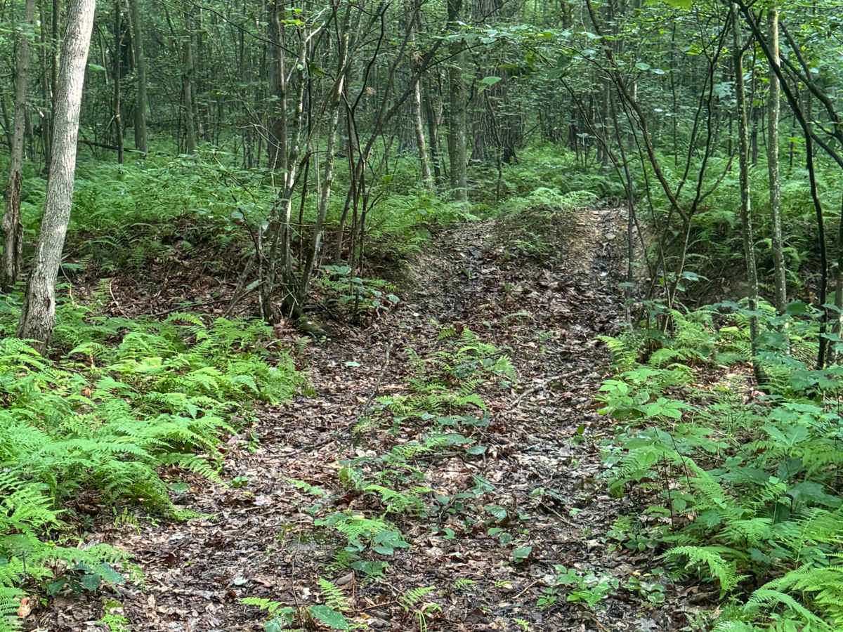 Trail 52 photo 6