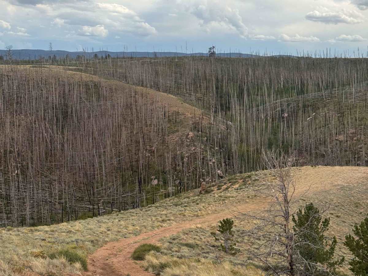 West Gramm Spur trail photo