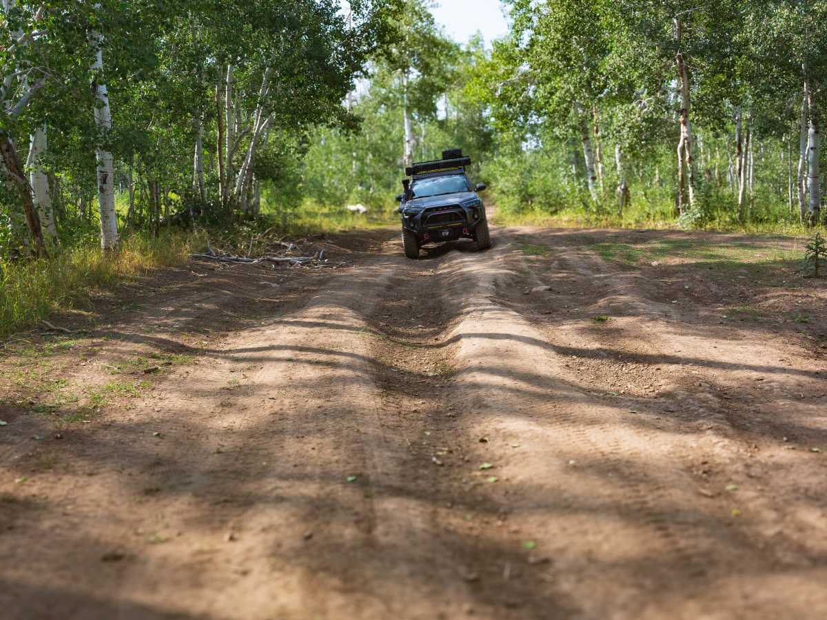 Bald Mountain - FS 70043 photo 6
