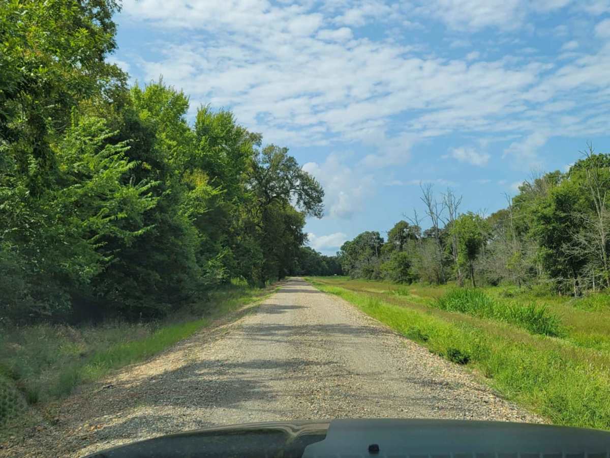 Tower Ends at Private Fishing Club trail photo