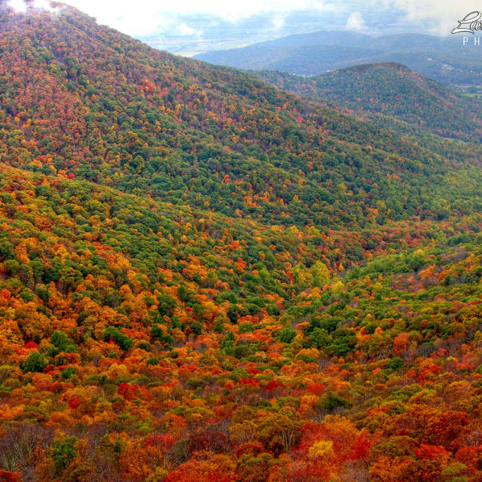 Autumn view from the cliff near Crescent Rock Overlook. Near Whiteoak Canyon - Hawksbill Summit Loop