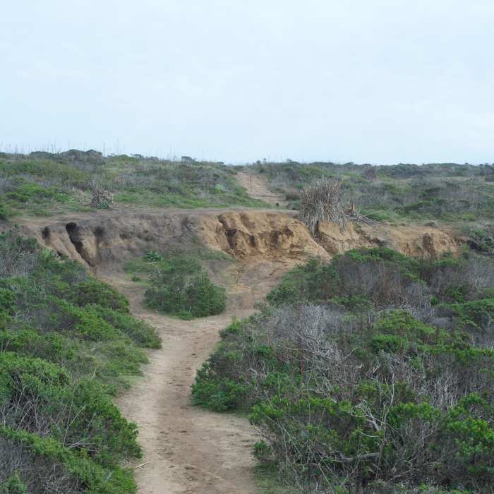 Near Frenchman's Reef Trail