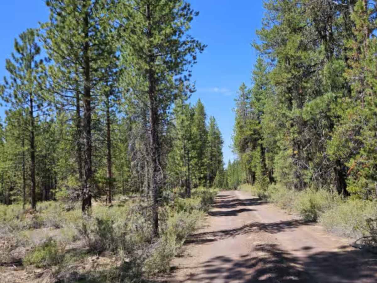 FS 2225100  photo 3