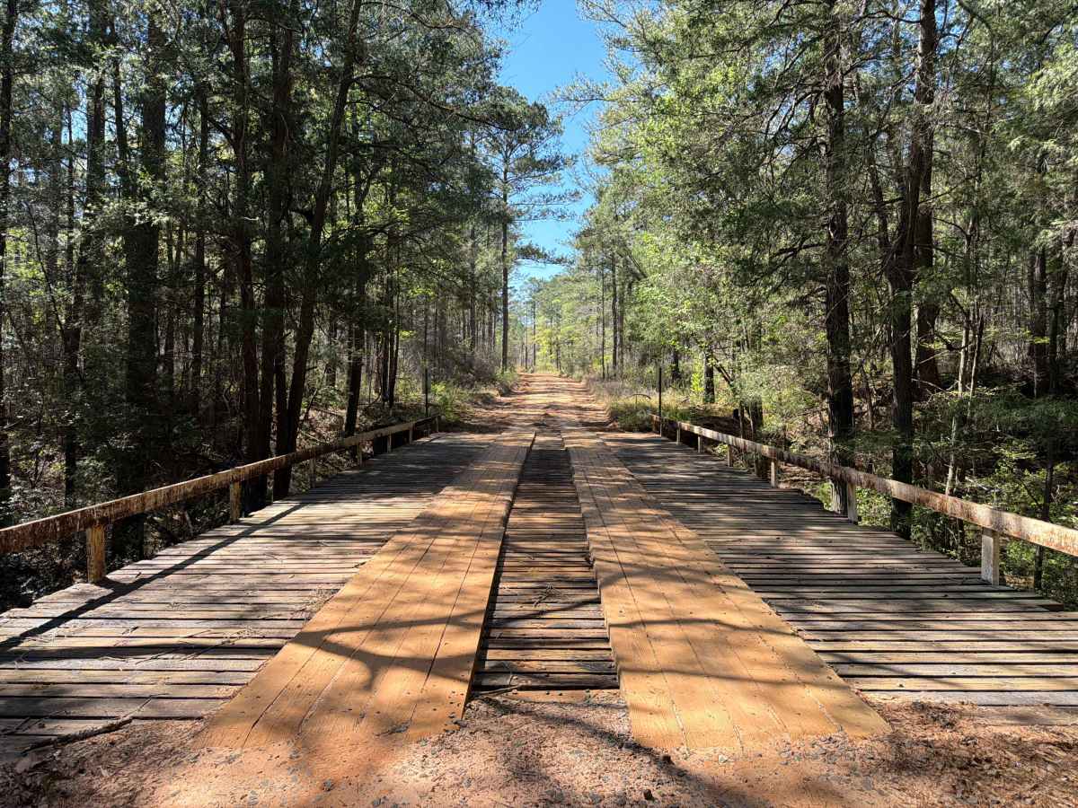 High Bridge trail photo