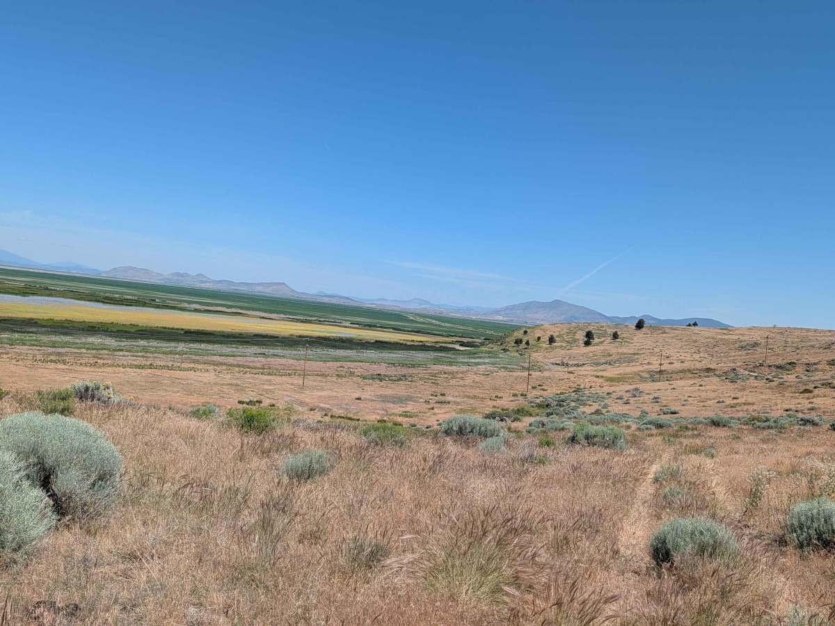 Sheep Camp Spur A - FS 47N18A  photo 6