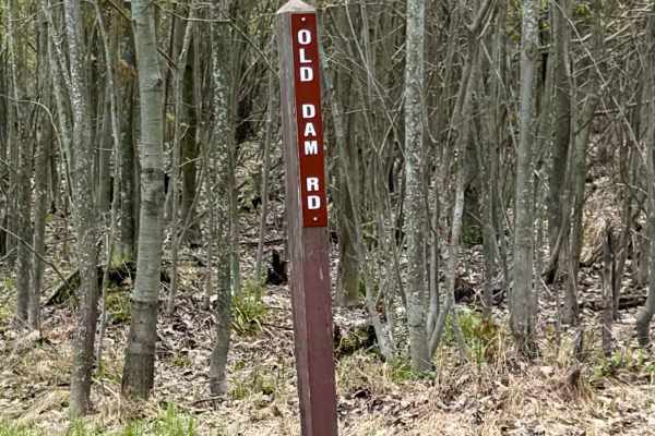 Old Dam Road