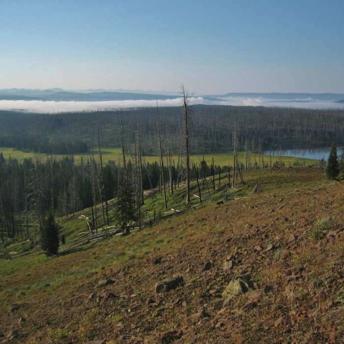 Looking south as the Observation Peak Trail leaves Cascade Lake. Near Observation Peak Trail
