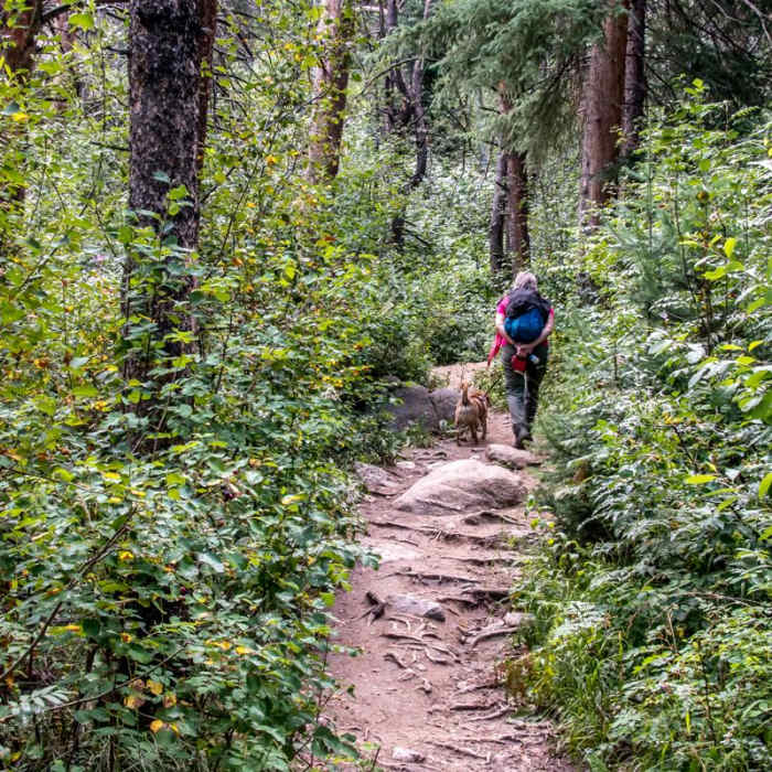 Near Upper Fish Creek Falls