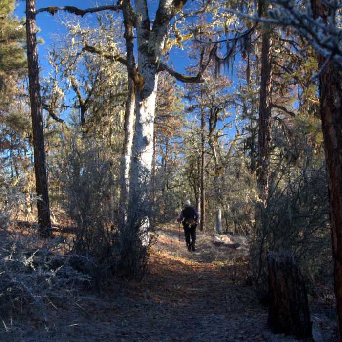 Near Viewpoint Mike Trail