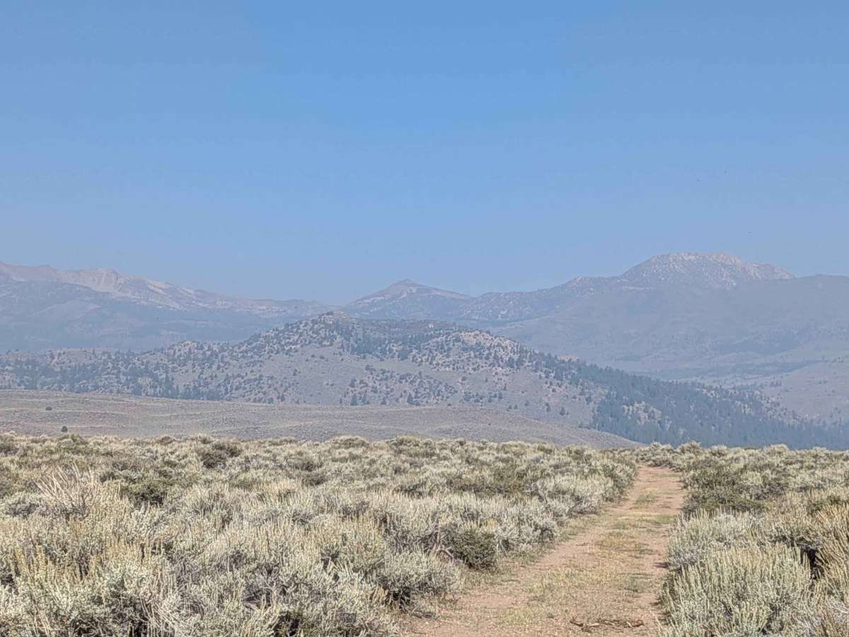 Sage Road East - FS 32066E photo 2