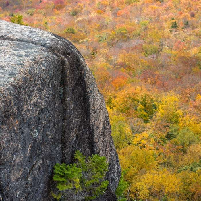 Near Mount Pemigewasset