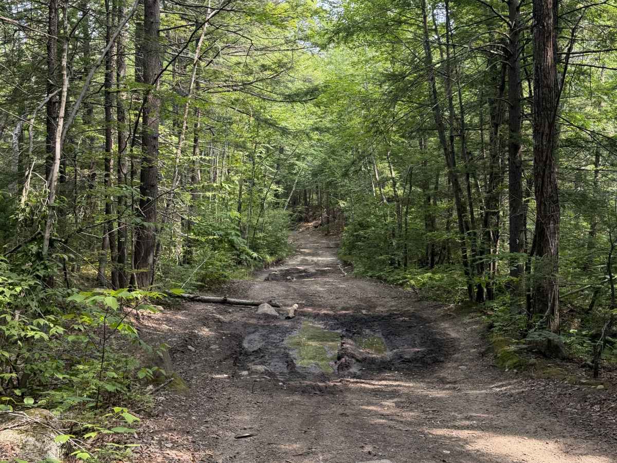 Cunningham Pond Road trail photo