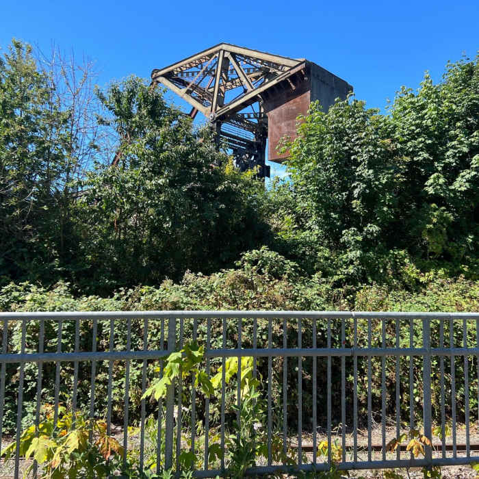 Near Burke-Gilman Trail