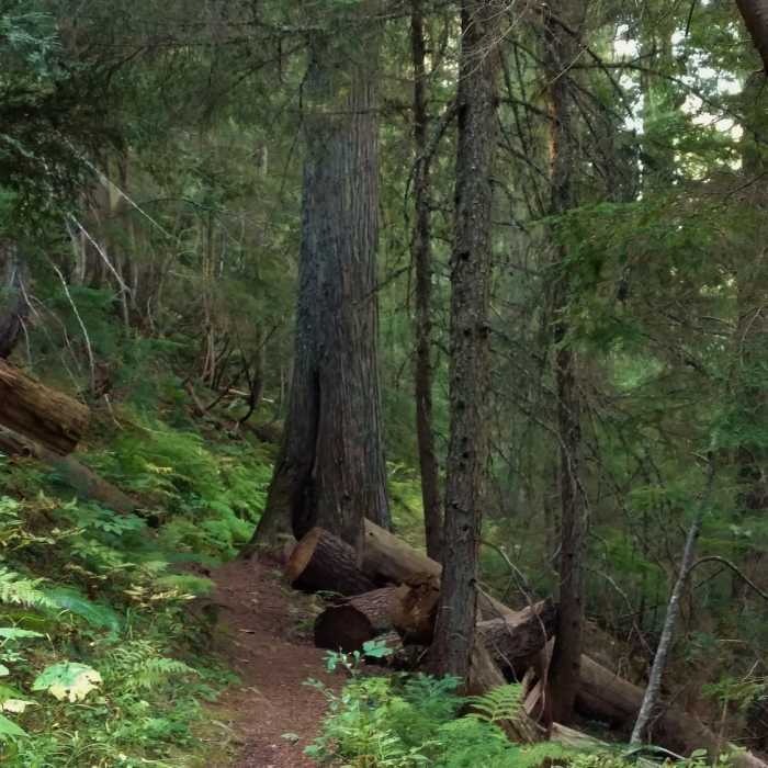 Near American Falls Out-and-Back