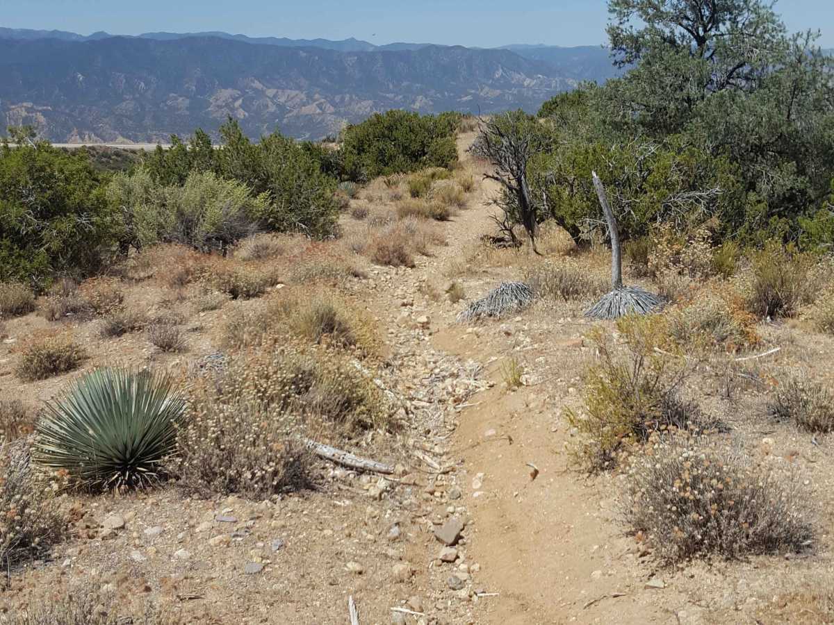 Trail 39 photo 3