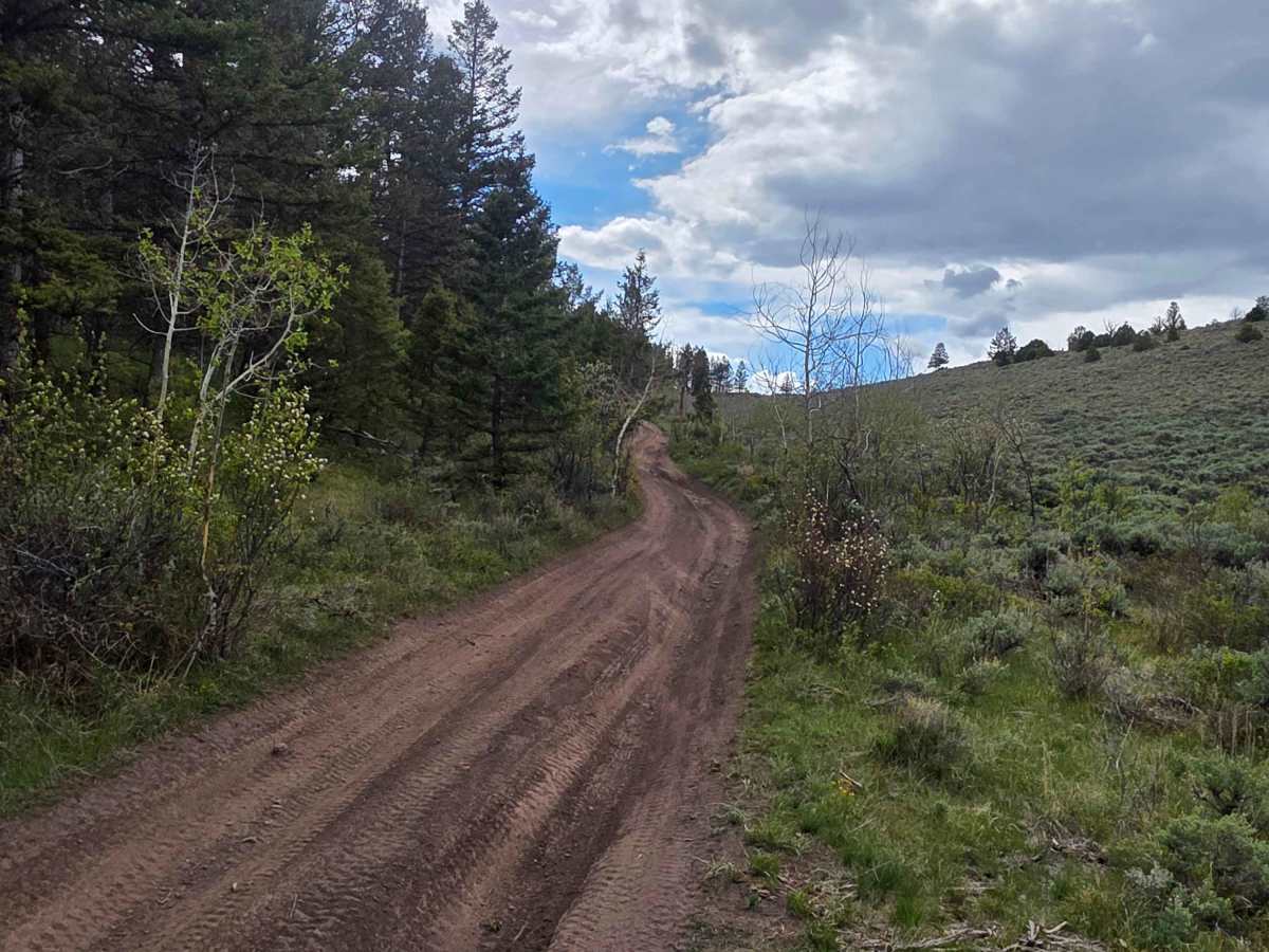 Little Wolfford Mountain Loop A photo 4