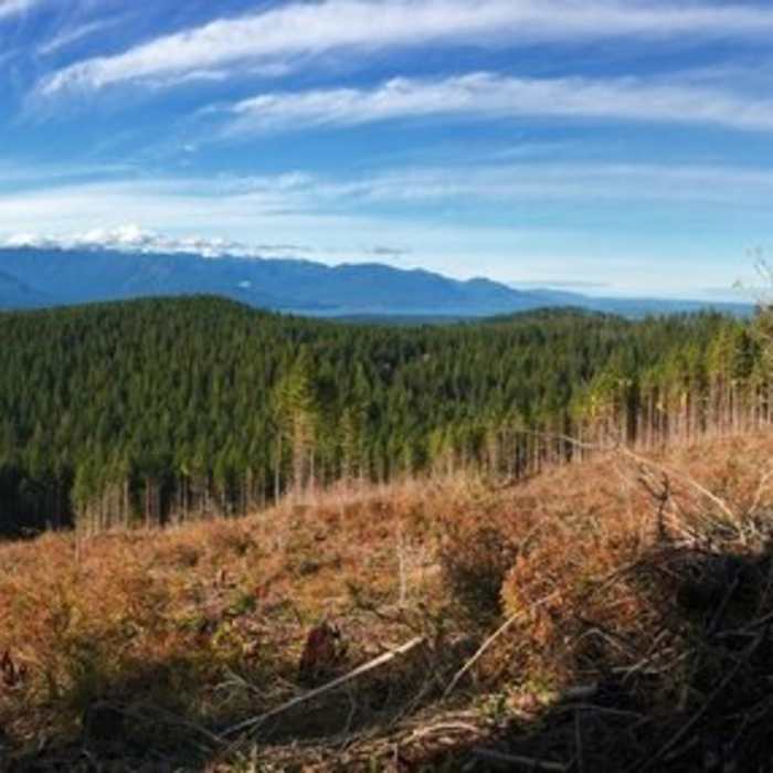 Panoramic views from the Gold Creek Trail, Green Mountain State Forest. Near Beaver Pond Trail