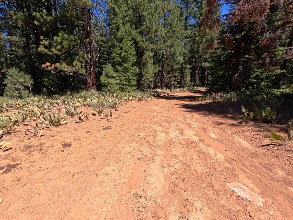 Holcombs Rd Spur - FS 0260-050 photo 4