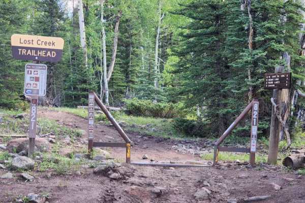 Lost Trail Road