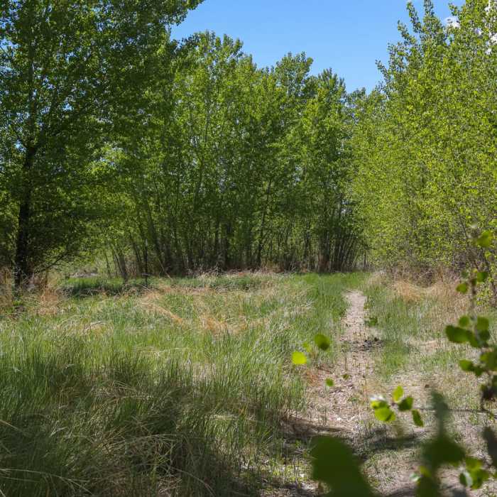 Near 102 Ranch Pond Loop