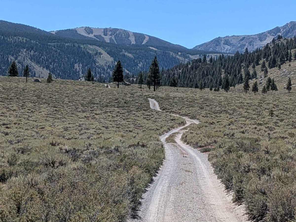 June Lake Shortcut - FS 1S32 trail photo