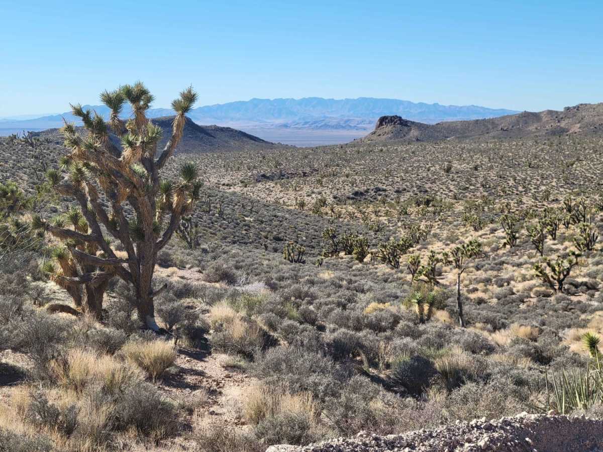 Lytle Ranch Road photo 6