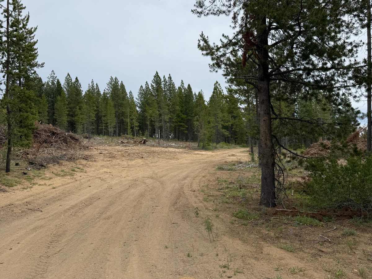 Big Spring Burn Road photo 2