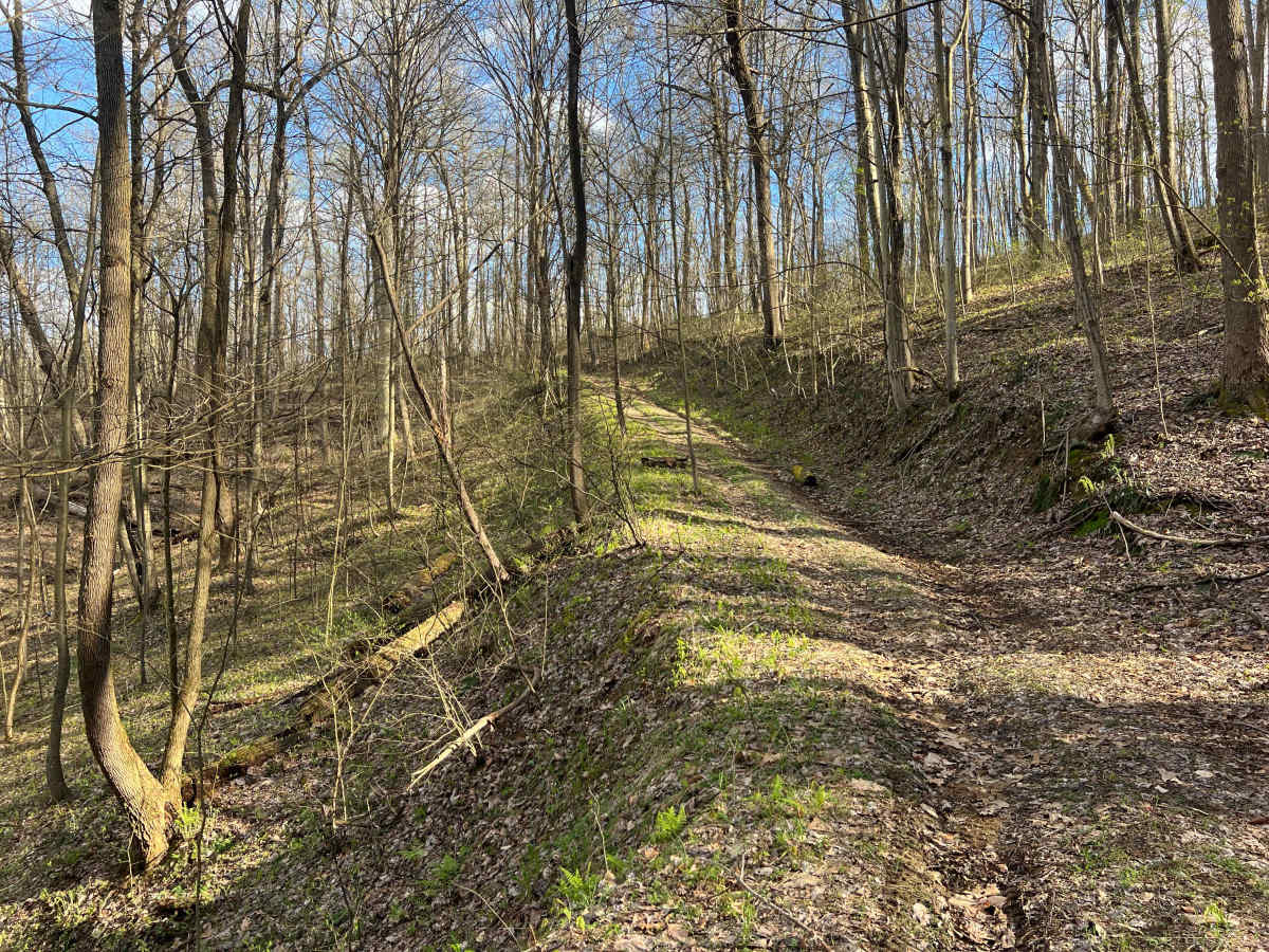 Q42B trail photo