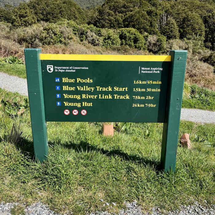 Near Blue Pools Forest Walk