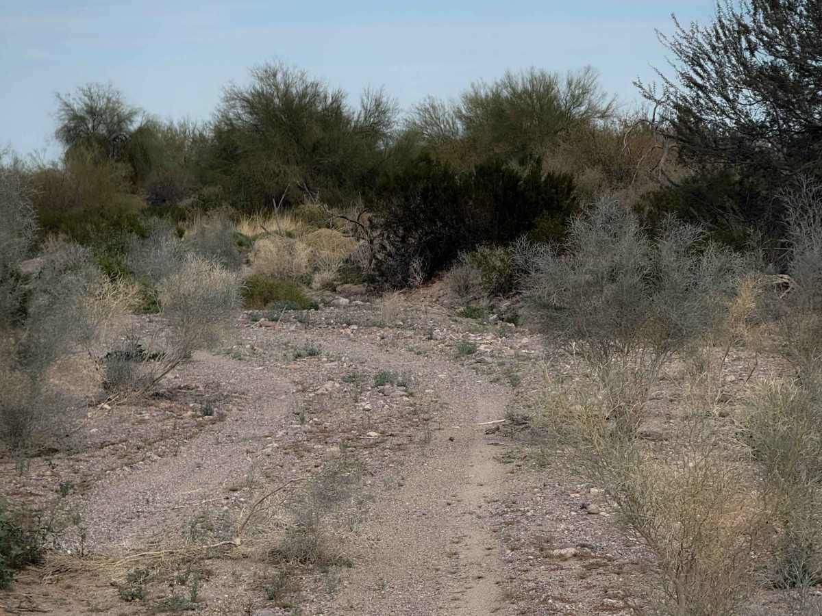 Ye701 trail photo