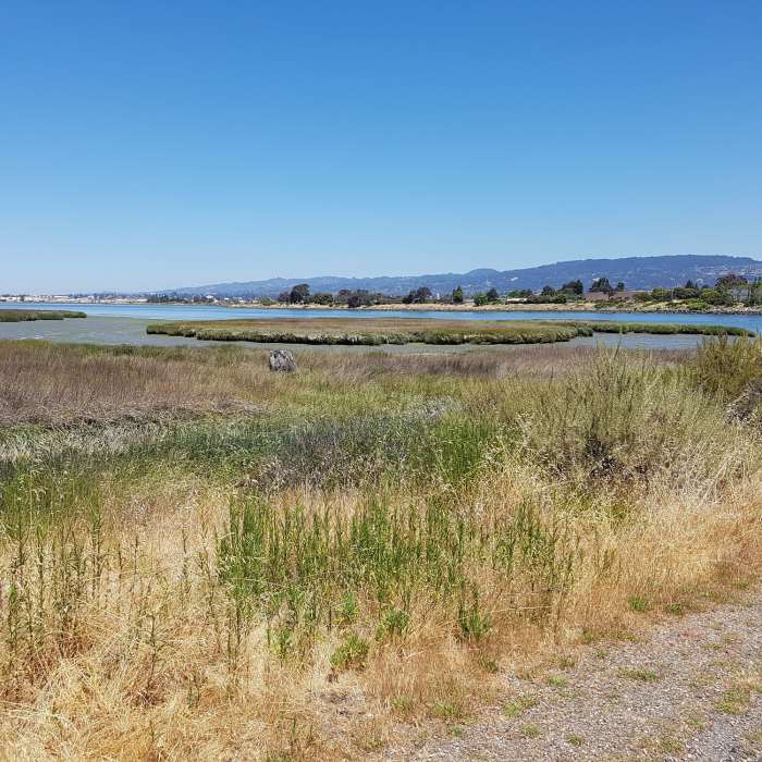 Near Martin Luther King Jr. Regional Shoreline