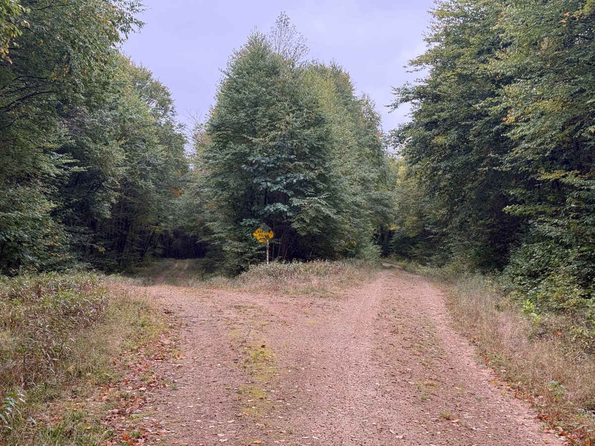 Rob's Knob - FS 204 photo 5