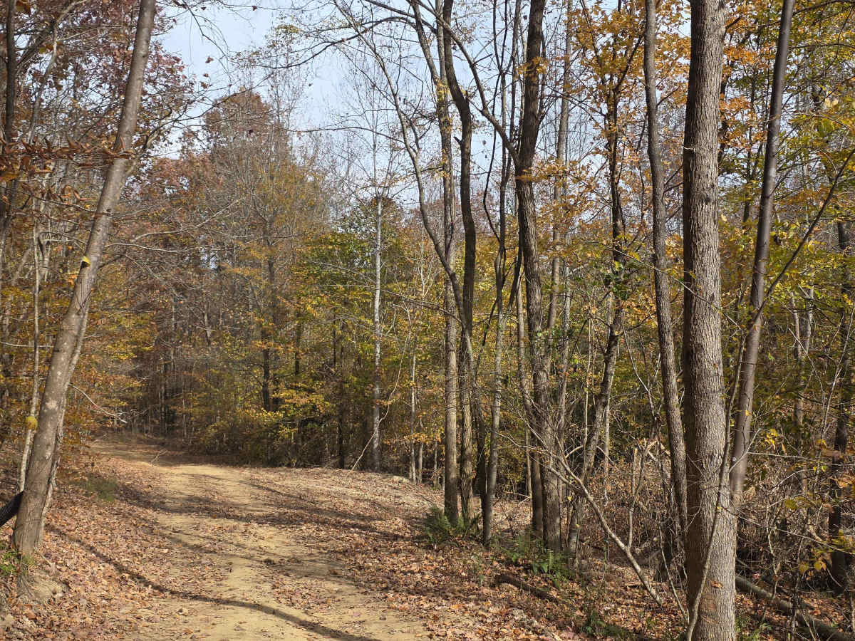 Bottom Of Bowl Loop photo 5