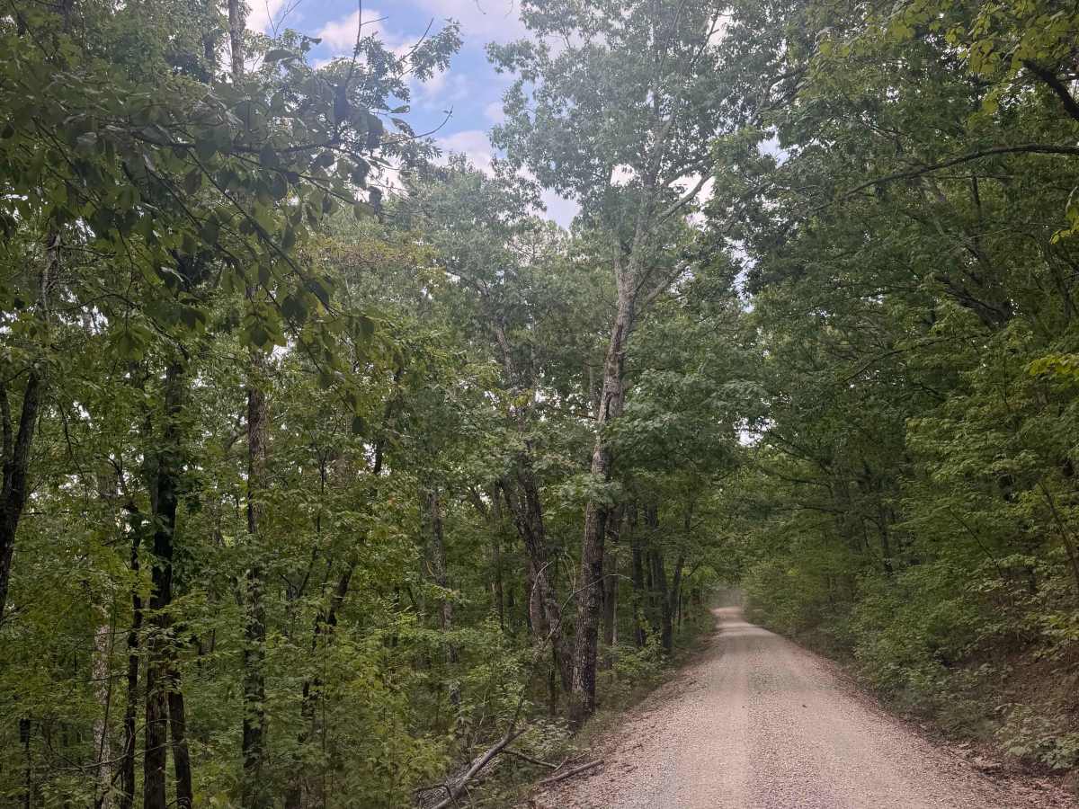 South Winona Forest Road photo 5