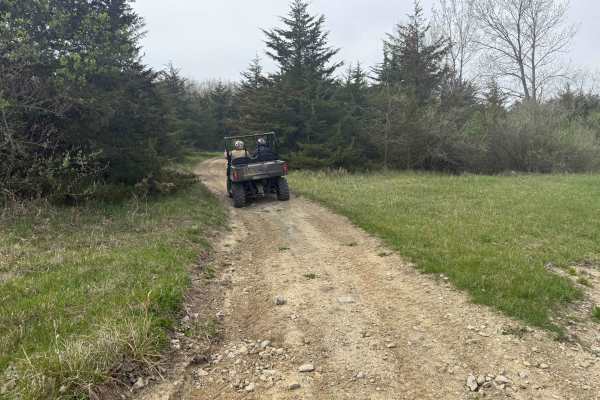 Trail # 6