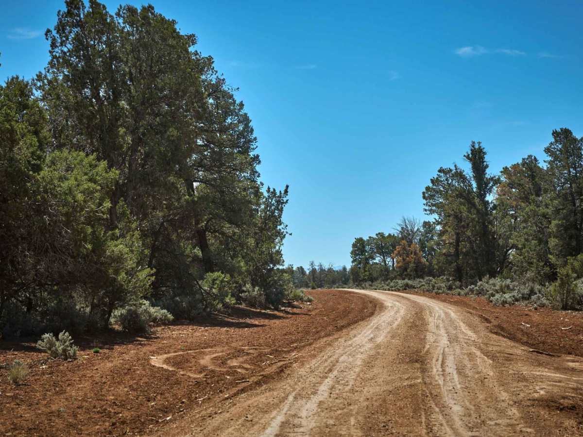 Corbitt Dam Road photo 6