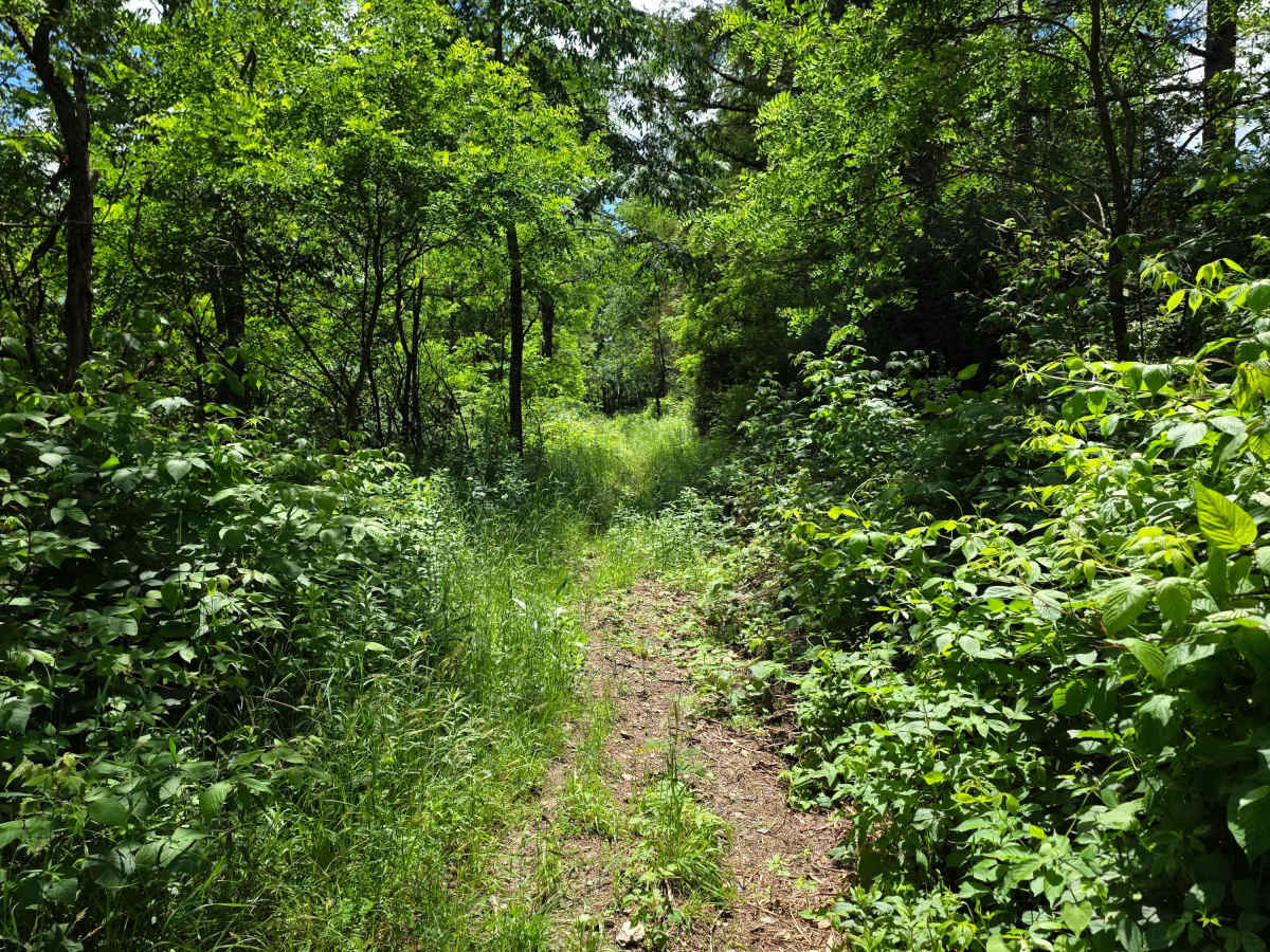 Single Track AC photo 5