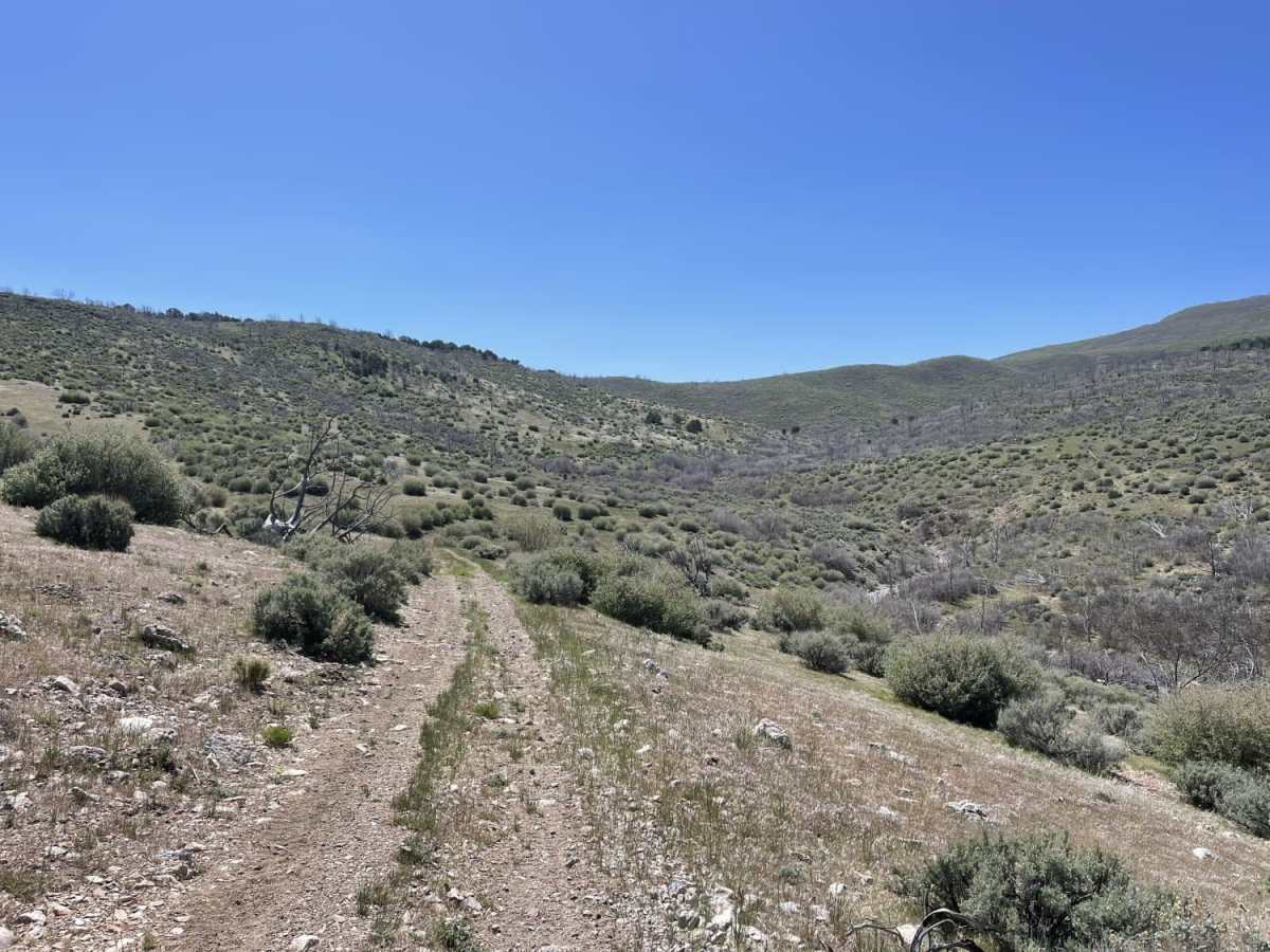 Cow Creek photo 5