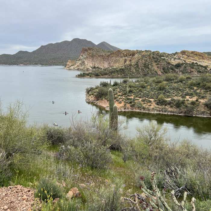 Near Butcher Jones Trail